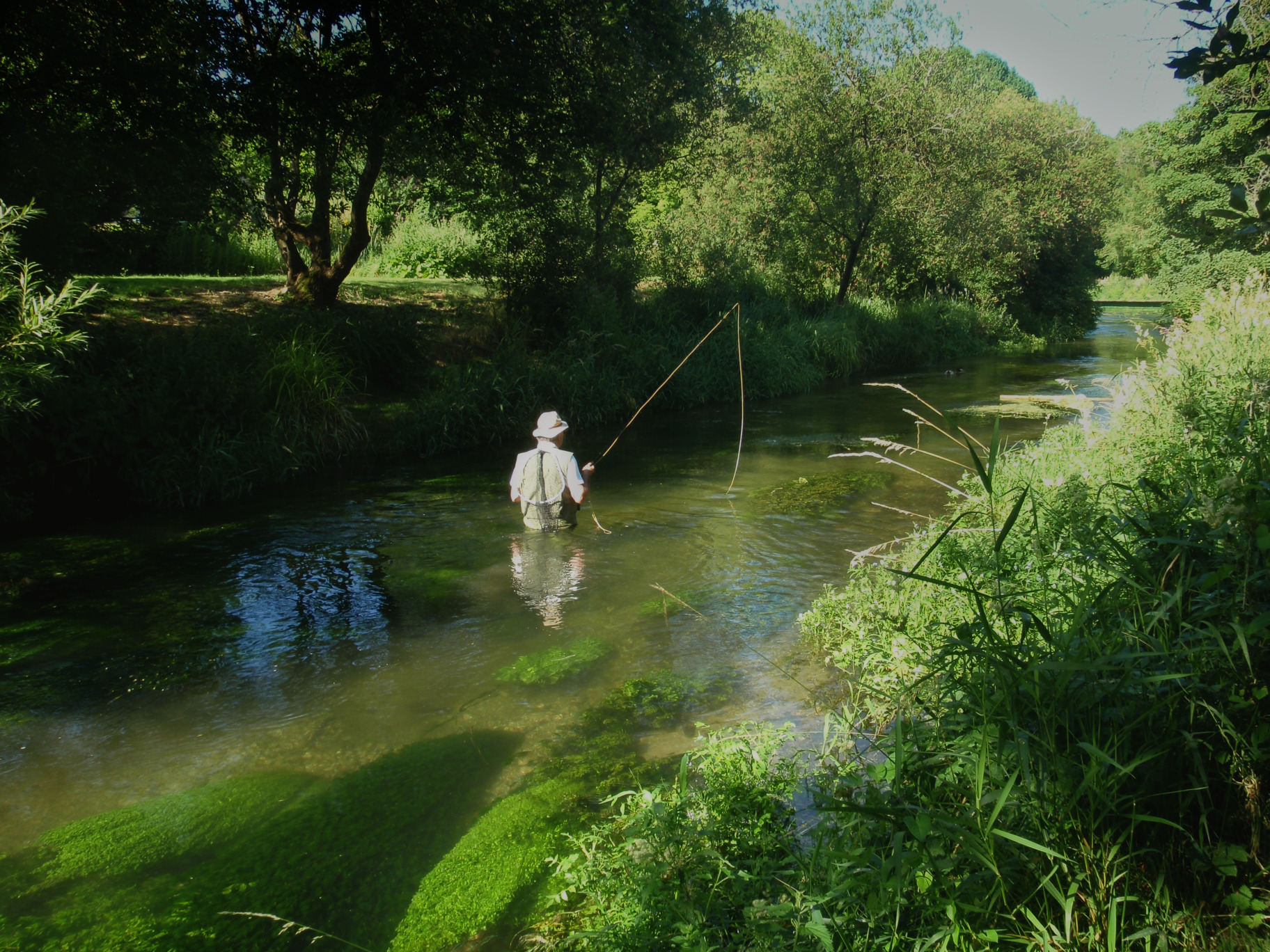 Fishing