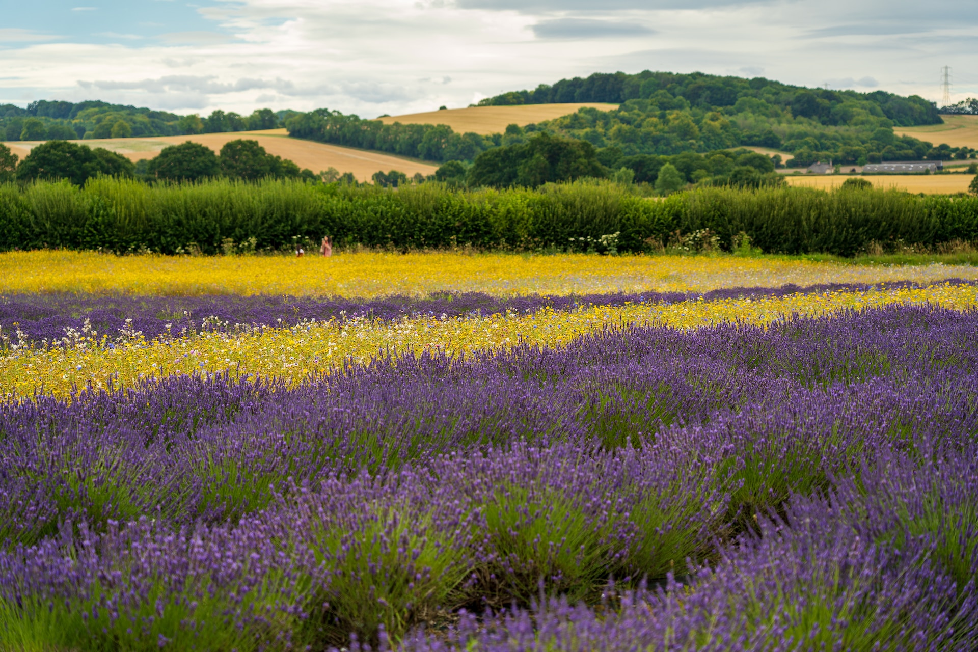 Hampshire