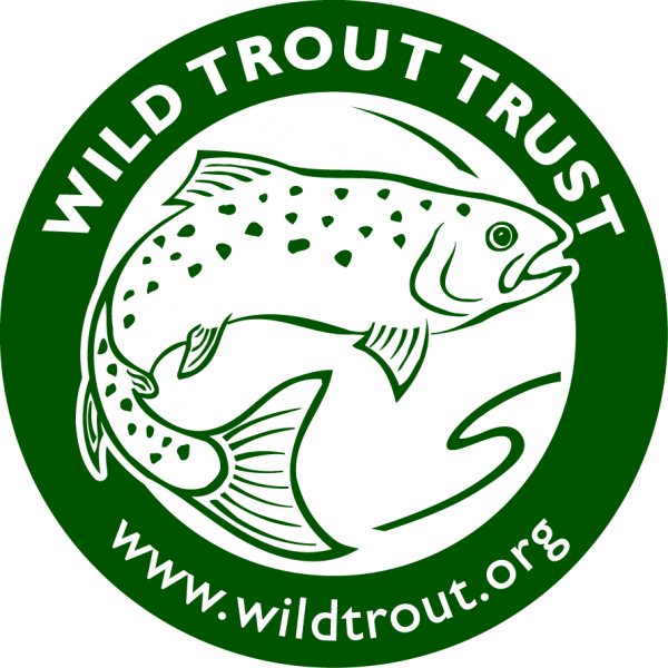 Wild Trout